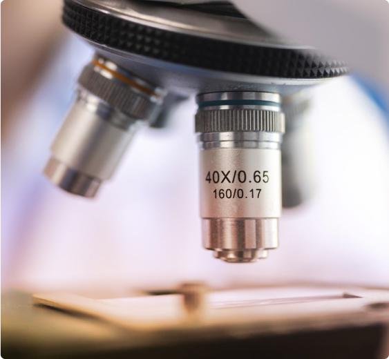 Biopsy and histology